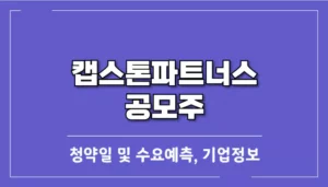 캡스톤파트너스-청약일