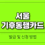서울-기후동행카드