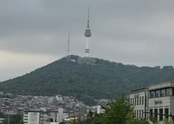 민생회복지원금 신청